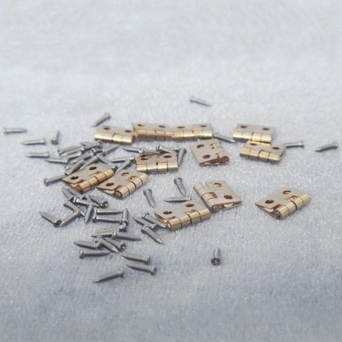 Miniature door 12pcs hinges - door,